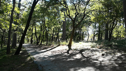 Parco Ferdinandeo
