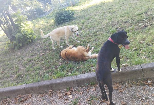 Parco Fratelli De Filippo