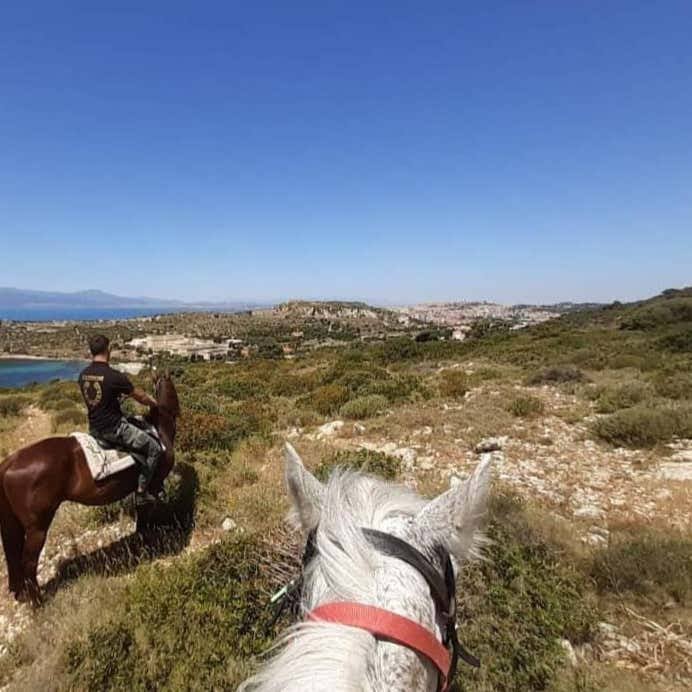 Parco Naturale Molentargius Saline