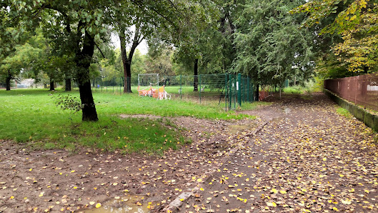 Parco Per Cani