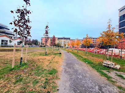 Parco Rita Levi Montalcini