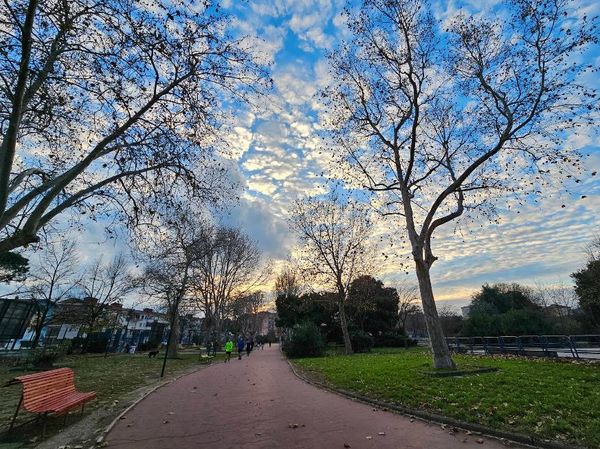 Parco Salvatore Costantino