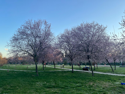 Parco San Donnino