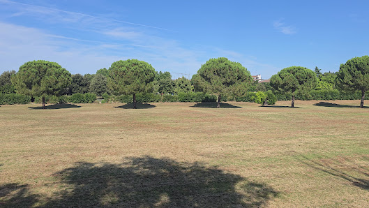 Parco Teodorico