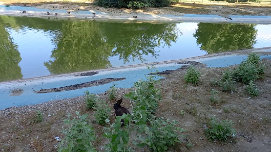 Parco Urbano Franco Agosto