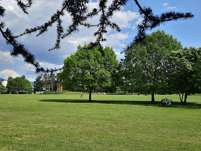 Parco Via Galileo Ferraris