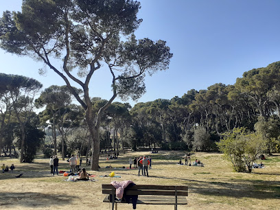 Parco Villa Corridi