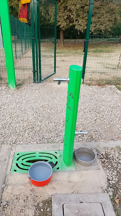 Parco area recintata per cane (Parco del Naviglio) 1