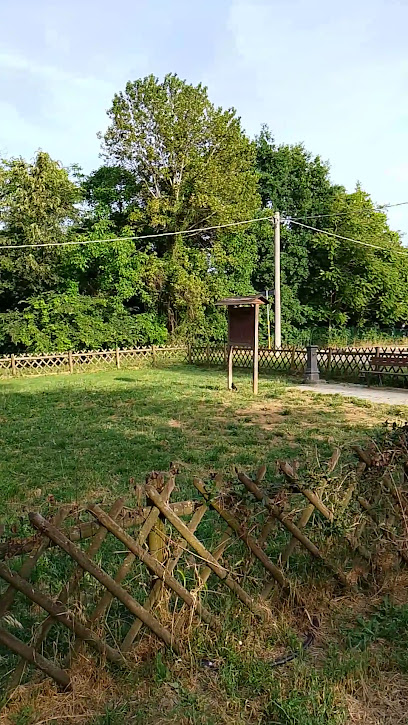 Parco area recintata per cane