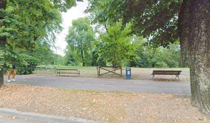 Parco area recintata per cani