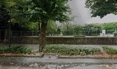 Parco area recintata per cani