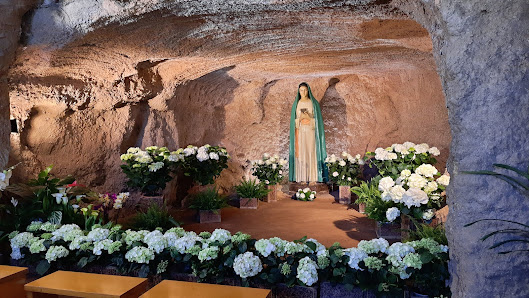 Parco degli Eucalipti