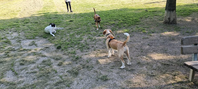 Parco dei Canini 187