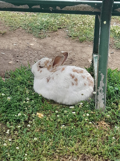 Parco dei Conigli