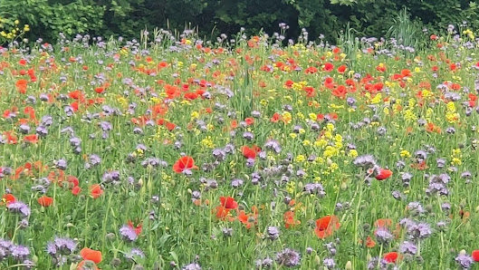 Parco del Basso Isonzo