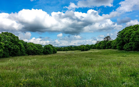 Parco del Sincrotrone
