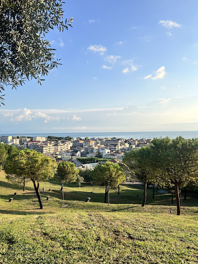 Parco del vivaio comunale