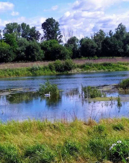 Parco dell’Adige Sud