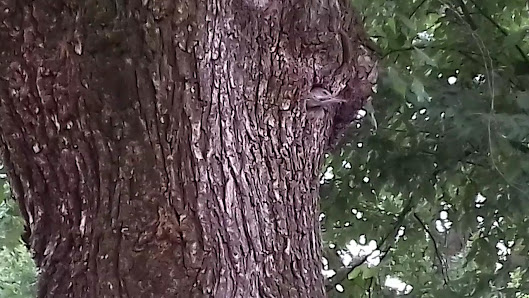 Parco delle Acque Chiare