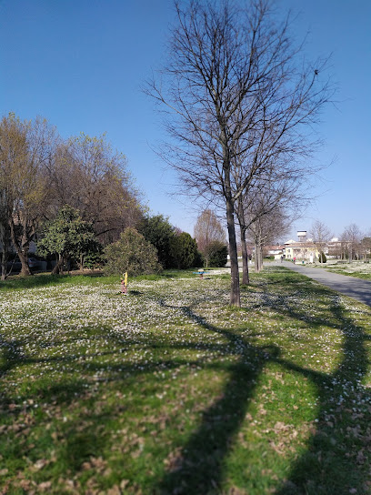 Parco delle Crocerossine