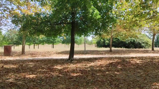 Parco di Villa Montalvo e Ragnaia