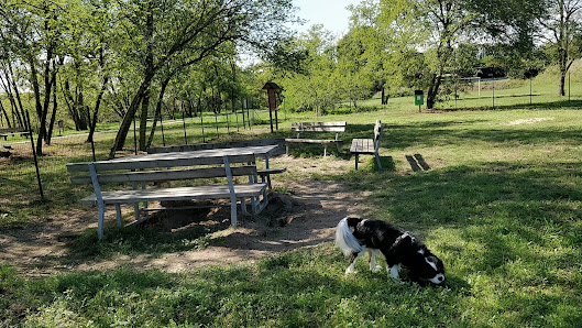 Parco per cani