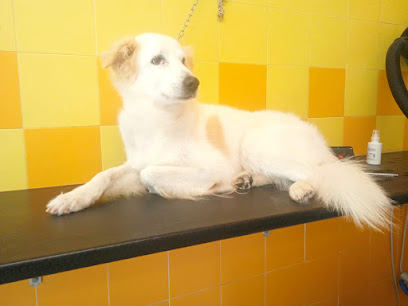 Pelo Matto Di Montebelli Marco