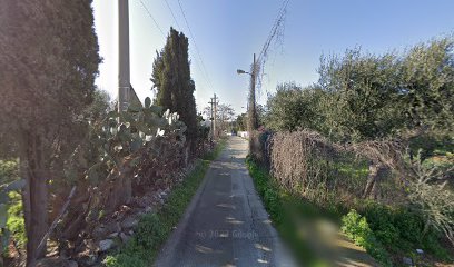 Pelo e Contropelo Asilo Pensione Cani