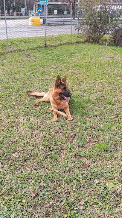 Pelomatto - Toelettatura Cani e Gatti