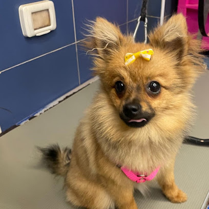 Per un pelo - Toelettatura - Pet Shop a Bisceglie