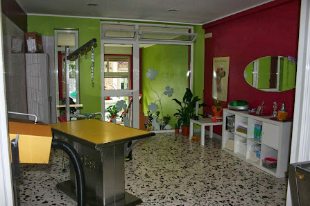 Per un pelo - toelettatura per animali da compagnia