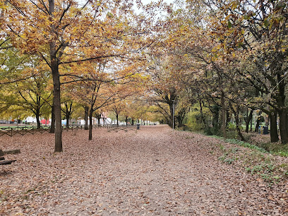 Percorso Verde Leonardo Cenci