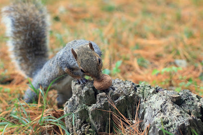Percorso Vita Parco Castello