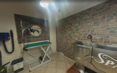 Pet Care Spa Livorno