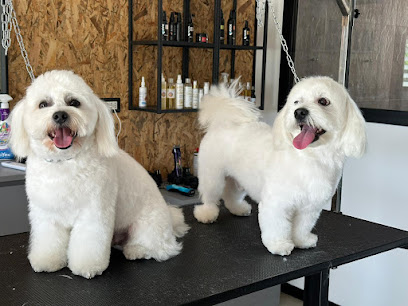 Pet Grooming Salon