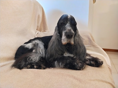 Pet Land Snc Di Monica Bottazzo & C.