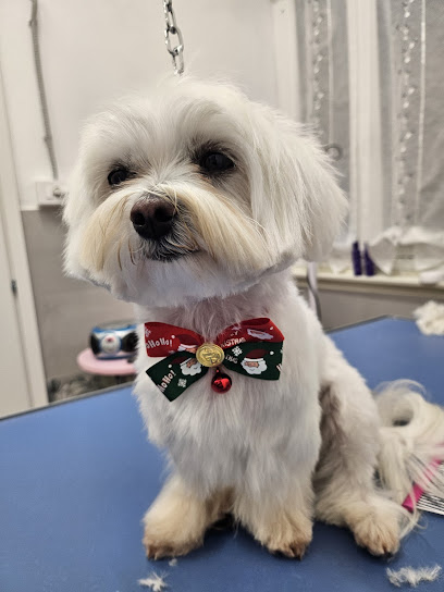 Pet Wash Home di Ingrid C.