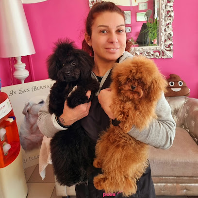 Pets Mania di Giovanetti Giorgia