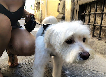 Piccoli Amici Di Vellutini Lucia Annamaria