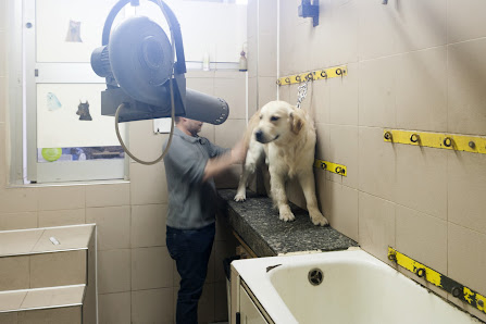 Pietro Inn Di Floro Pietro