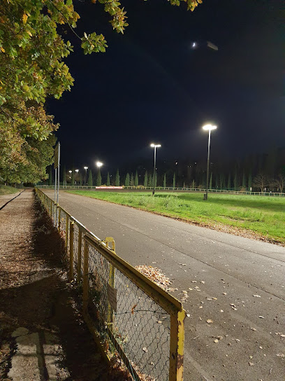 Pista Ciclabile Del Percorso Verde