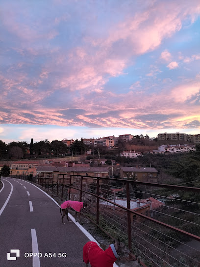 Pista Ciclabile