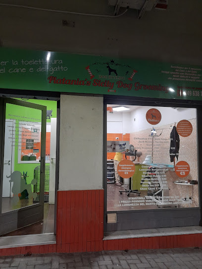 Platania's Sicily Dog Grooming
