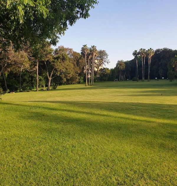 Porta Miano - Bosco di Capodimonte