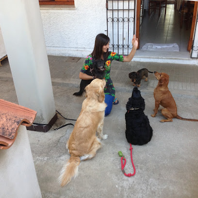 Prenda 'e Oro di Silvia Caria Olbia - pensione per cani - toelettatura - educatore cinofilo - Pet therapy (I.A.A.)