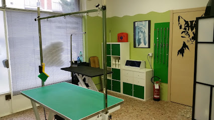 Qua La Zampa- di Giulia Di Valentin