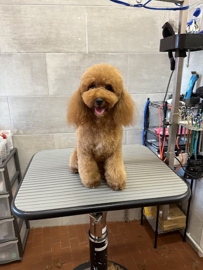 Qua la zampa di Luca Meloni