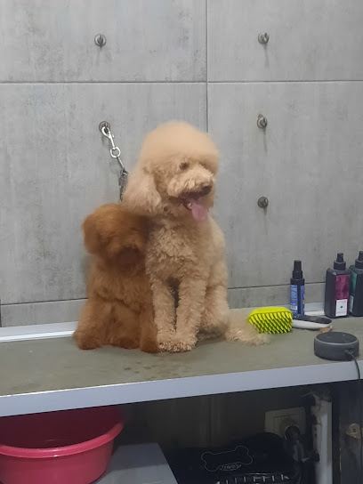 Qua la zampa toelettatura