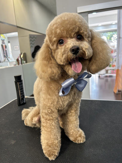 Regno Kan- Toelettatura & Pet Shop