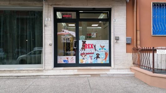 Rex Wash Self Service Per Animali